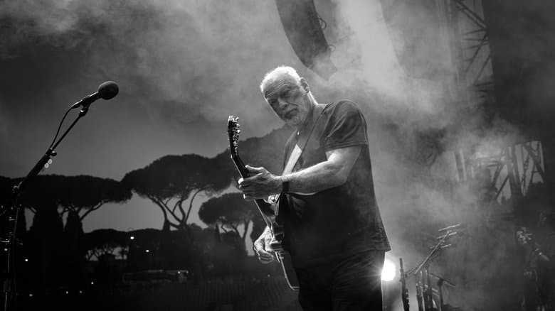 David Gilmour Live at the Circus Maximus, Rome Backdrop